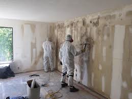 Reliable Crossett, AR Mold Removal Services Solutions